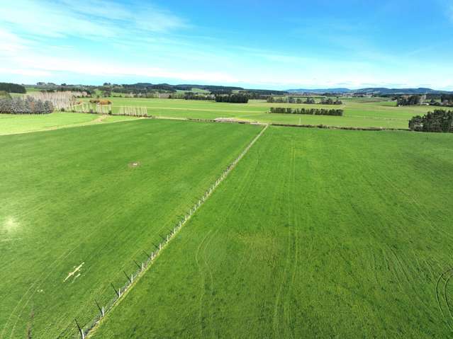 1475 Glencoe Highway Te Tipua_4