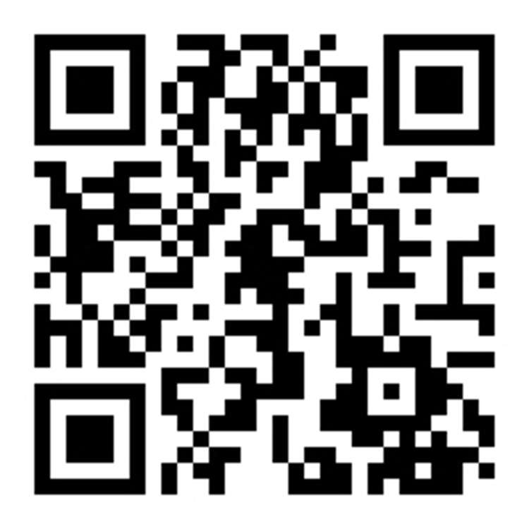 20a Plunket Street Spreydon_8