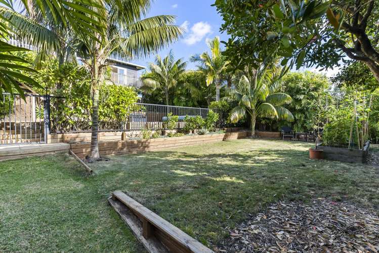 5 Ravenwood Drive Forrest Hill_2