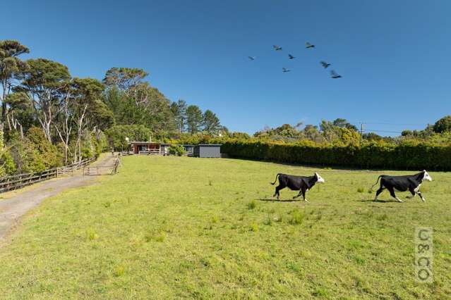35a Fork Road Kumeu_2