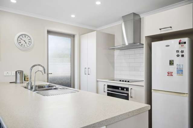 31 John Mcdonald Mews Masterton_4