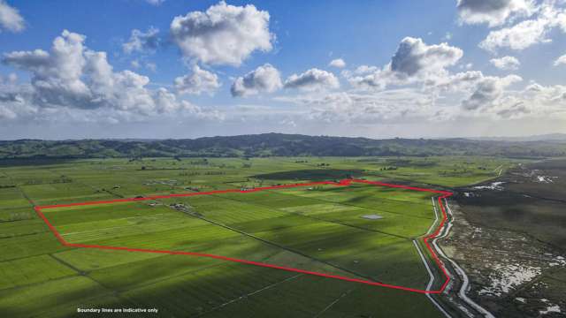 Coastal-rural living meets efficient dairy farming