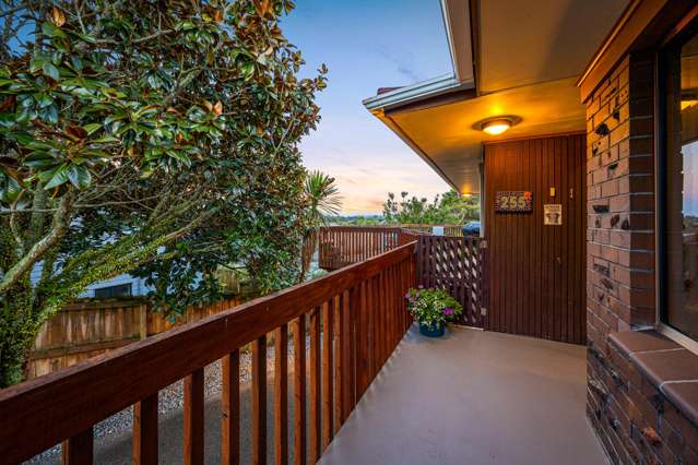 255 Glengarry Road Glen Eden_1