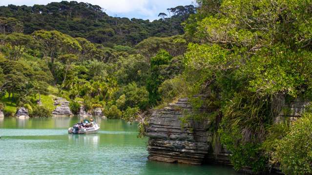 505 Te Akau Wharf Road Te Akau_4