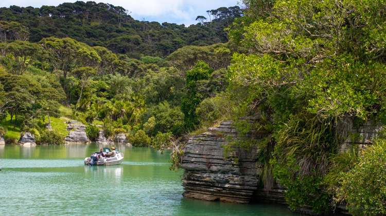 505 Te Akau Wharf Road Te Akau_4