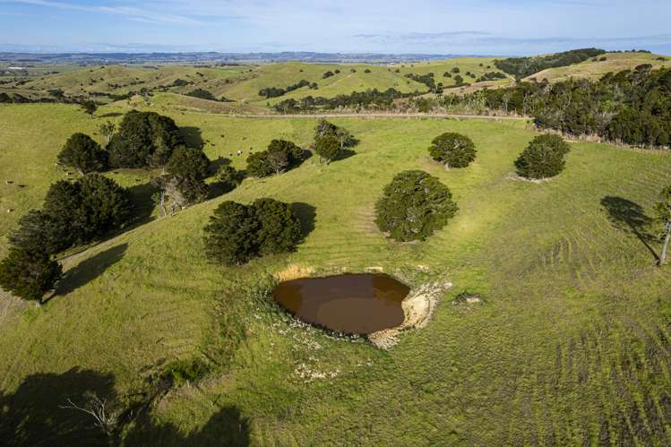 Parahi Road Ruawai_14