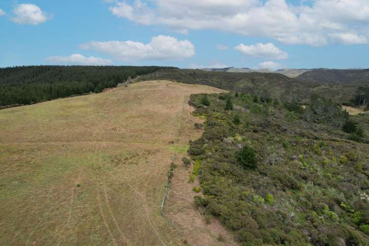 State Highway 12 Dargaville_6