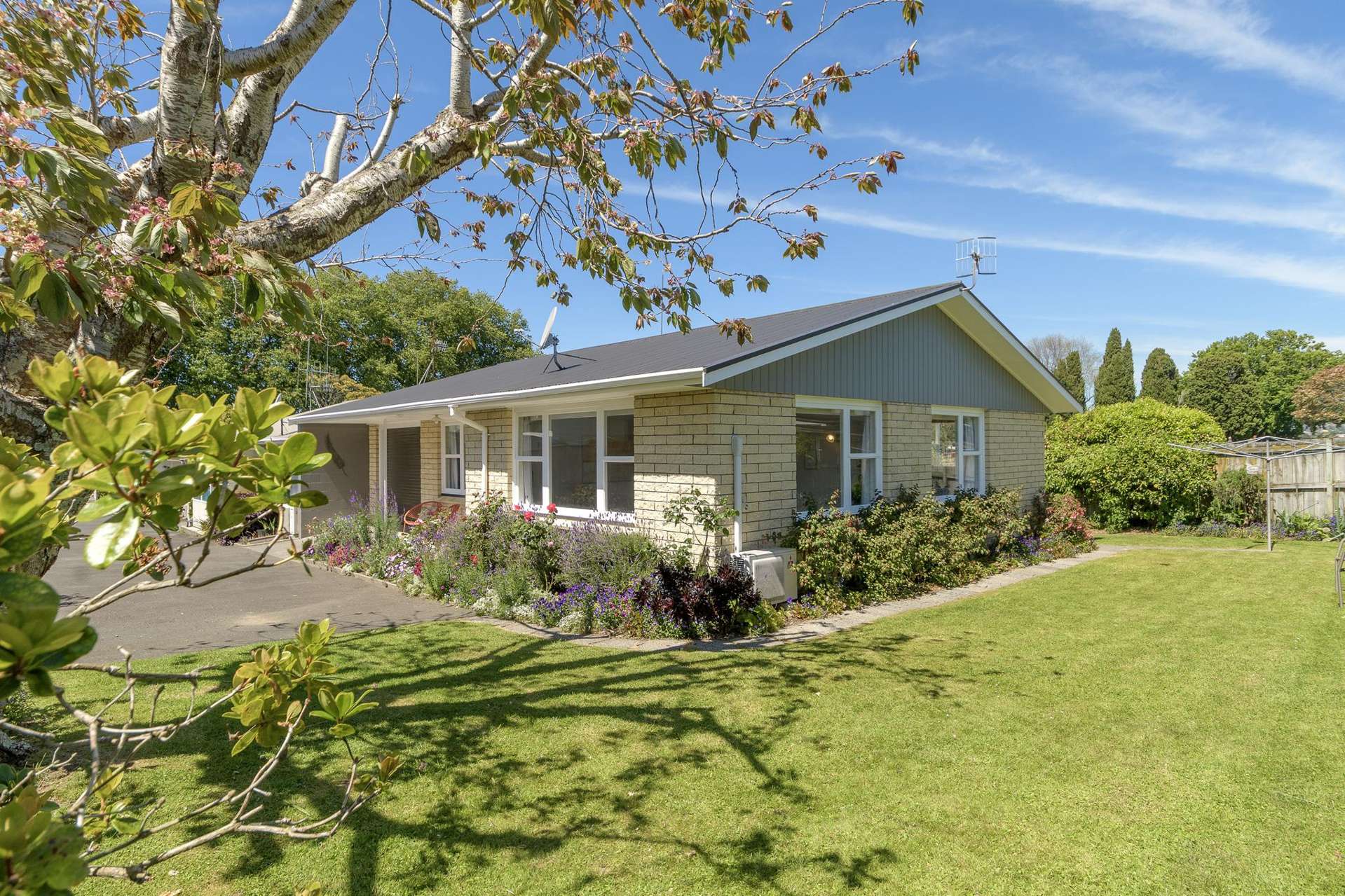 48 Seventeenth Avenue Tauranga South_0