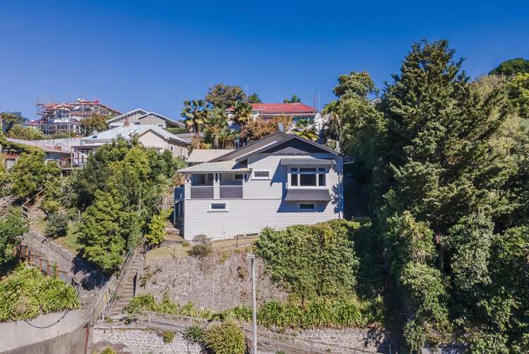 50 Shakespeare Road Bluff Hill_13