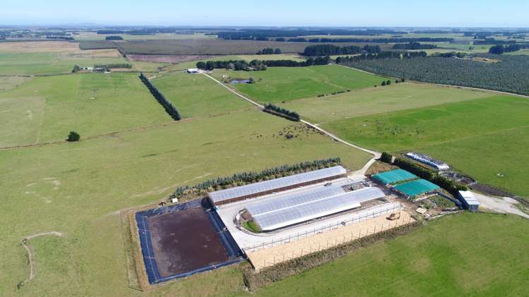 235 Waituna Lagoon Road Wyndham Surrounds_15