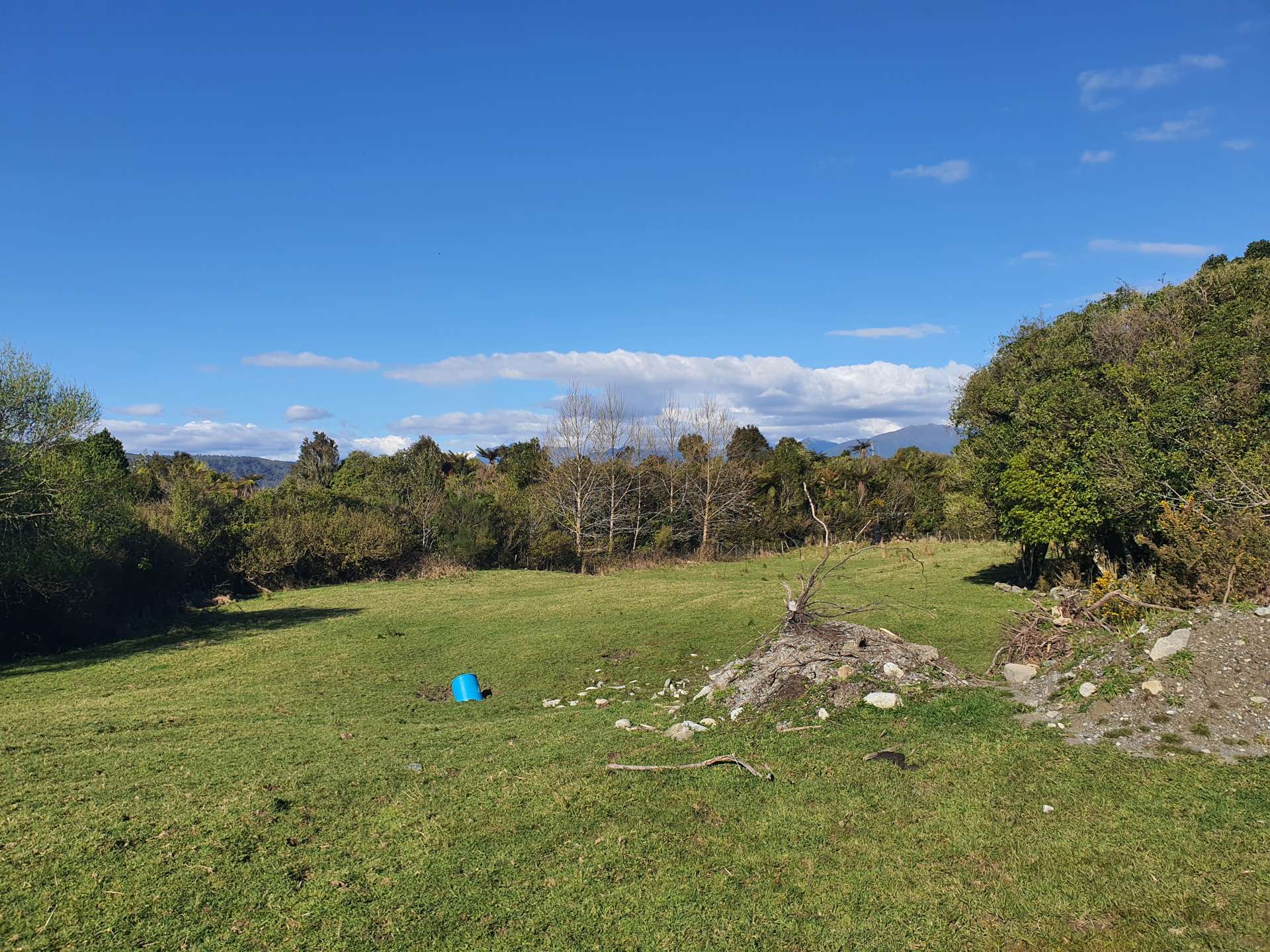 Lot 1 Woodstock-Rimu Road Ruatapu_0