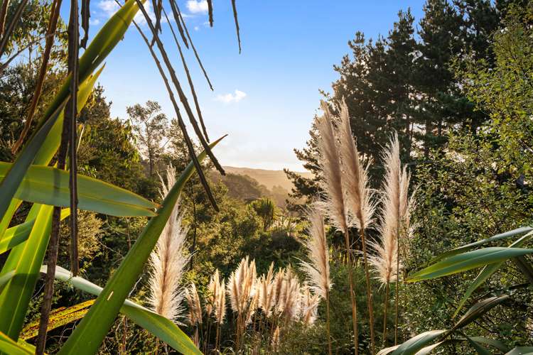 38 Coatesville-Riverhead Highway Coatesville_12