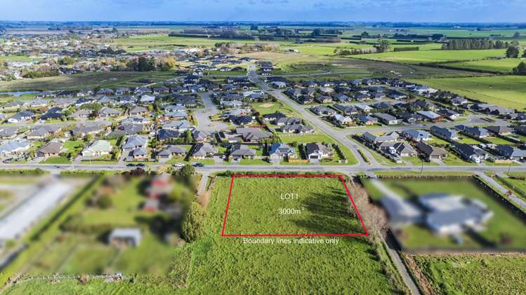 84 Manse Road Pleasant Point_6