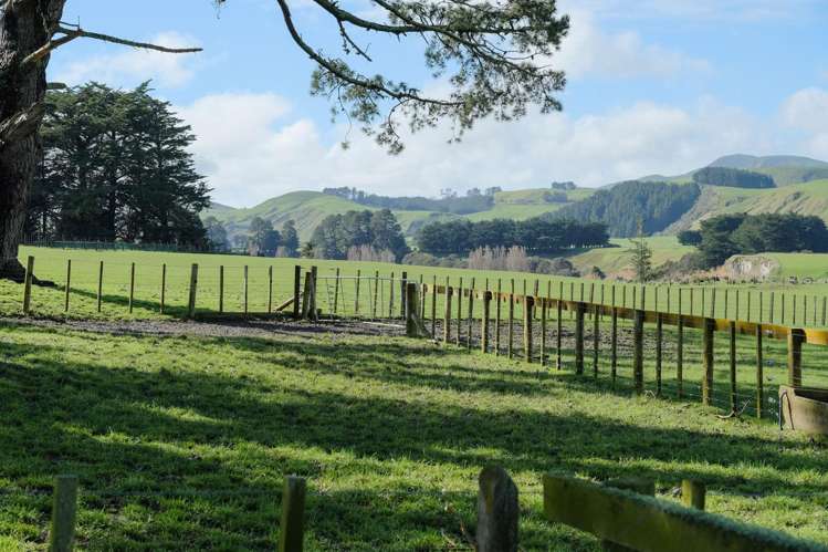 63 Hamilton Road Dannevirke_11