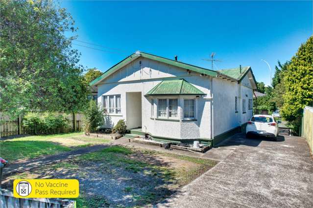 4 Lyon Avenue Mount Albert_1