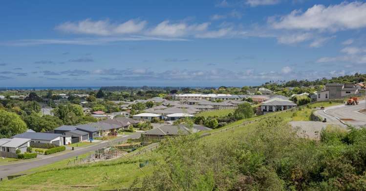 Kakariki Grove Waikanae_6