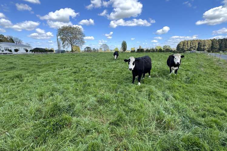 Lot 1 Mangawhero Road Otorohanga_4