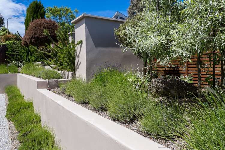 161 Doon Street Waverley_20