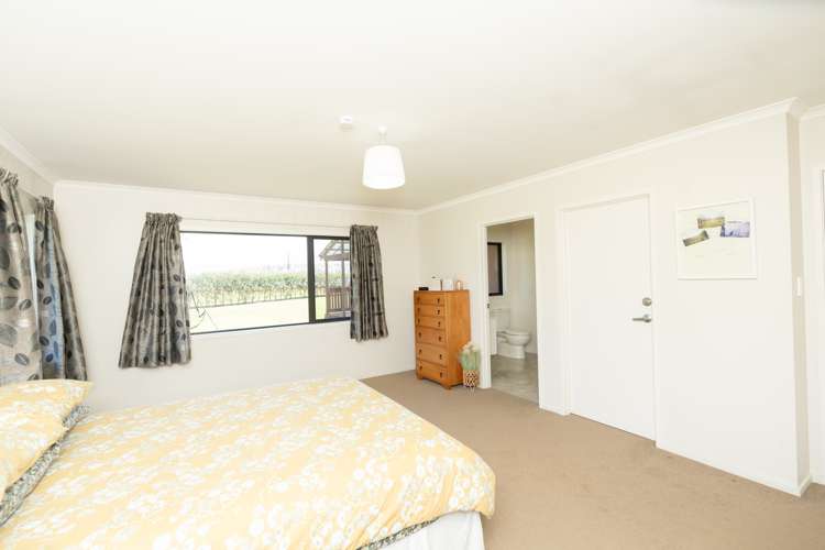 294 Piako Road Gordonton_40