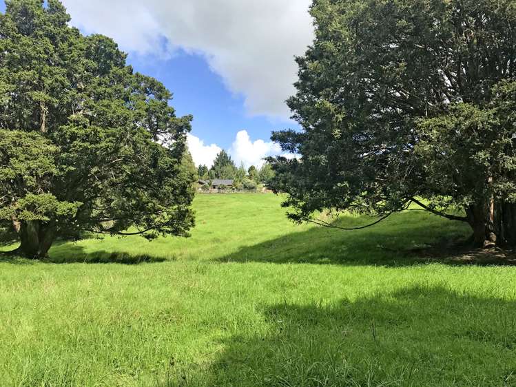 237 Snooks Road Maungatapere_18