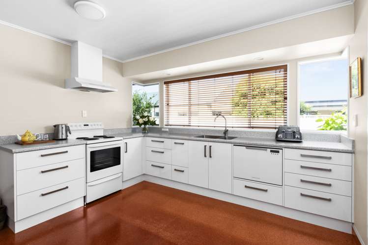 48 Auckland Road Greenmeadows_1