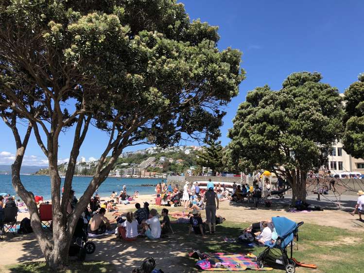 4/154 Oriental Parade Oriental Bay_20