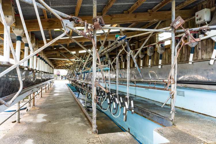 2682 State Highway 1 Brynderwyn_9