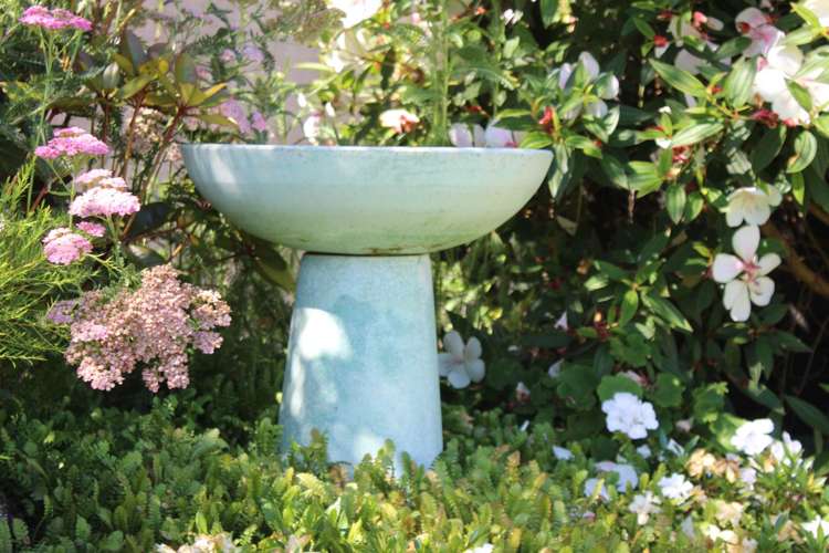 2 Appletree Lane Kerikeri_38