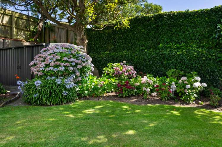 42 Campbell Street Karori_22