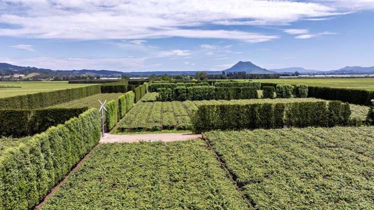 469 Western Drain Road Edgecumbe_8