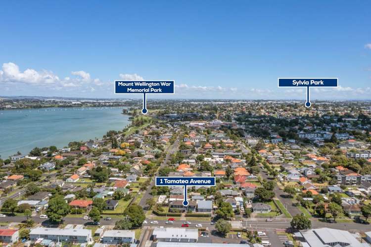 1 Tamatea Avenue Pt England_28