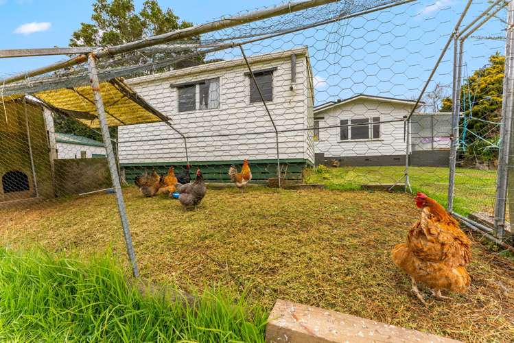 264 Glenbrook Beach Road Glenbrook_33