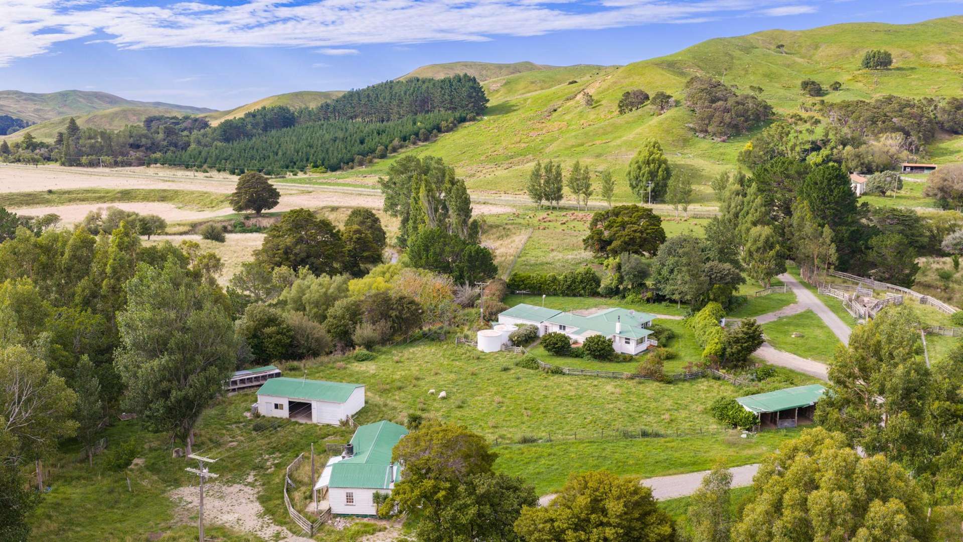 401 Herbertville Road Herbertville_0