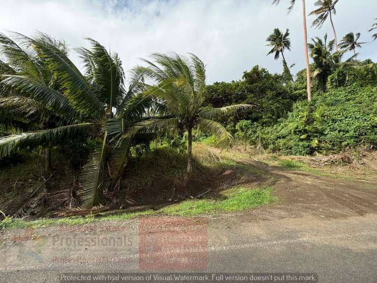 Address withheld Savusavu_9