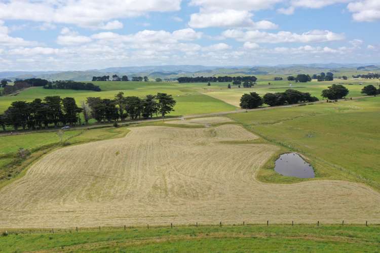 390 Pinfold Road Woodville_6