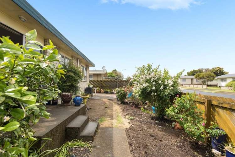 73a Links Avenue Mount Maunganui_6