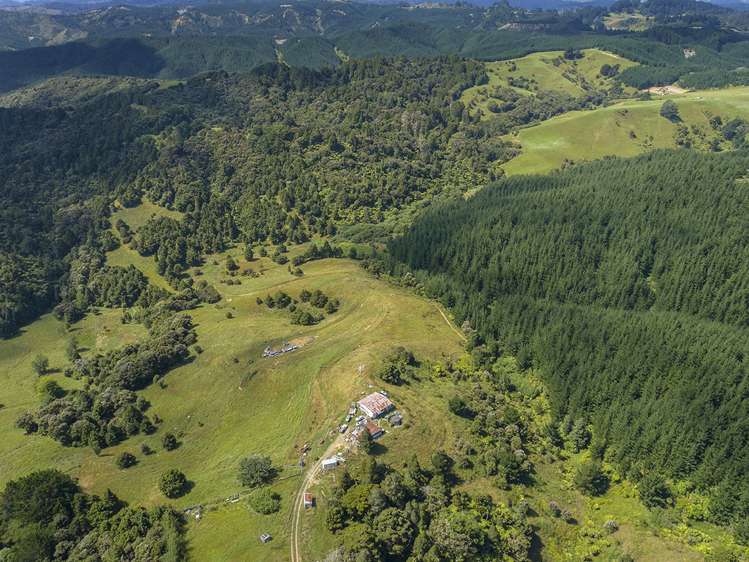 910 Krippner Road Puhoi_5