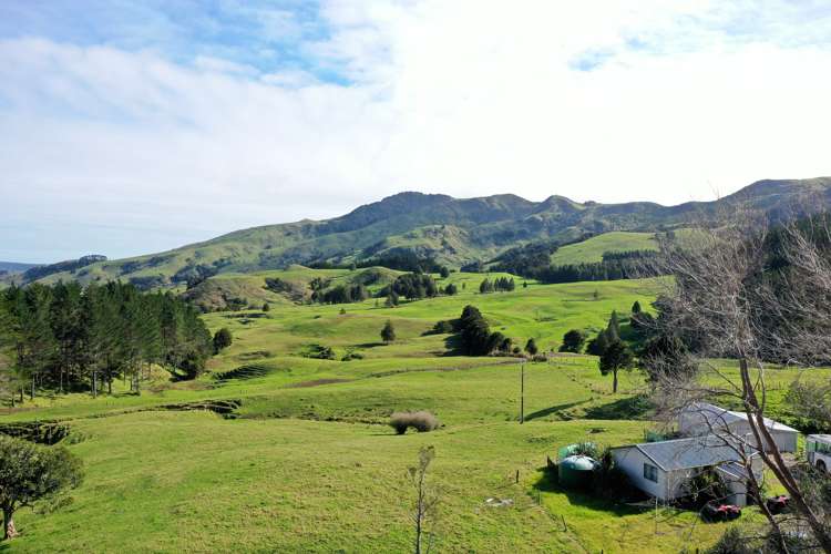 2288 Waihue Road Dargaville Surrounds_11