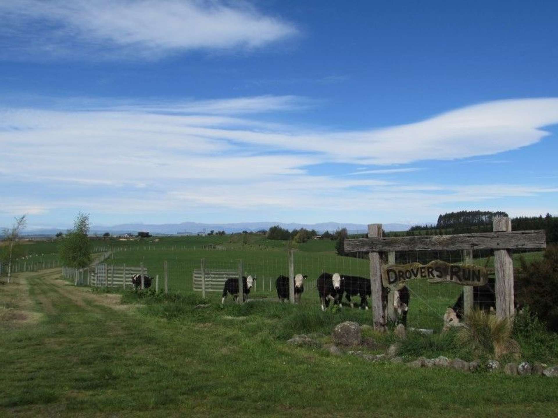 49 Downs Road Geraldine_0