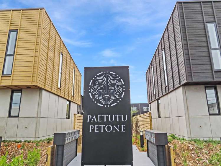 35 Te Ara O Paetutu Petone_12