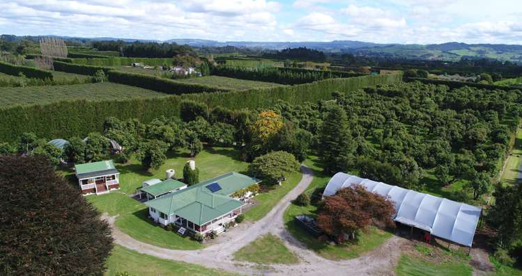 455c Belk Road Kaimai_1