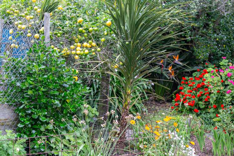 108A Weka Street Miramar_20