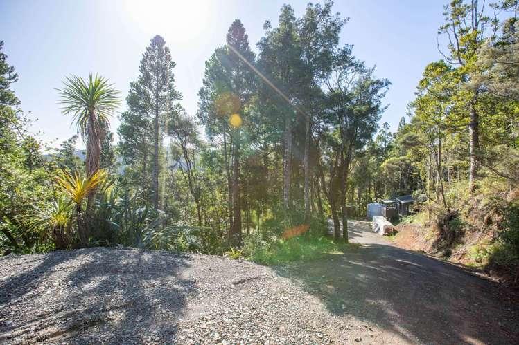 15 Te Aute Ridge Road Waitakere_10