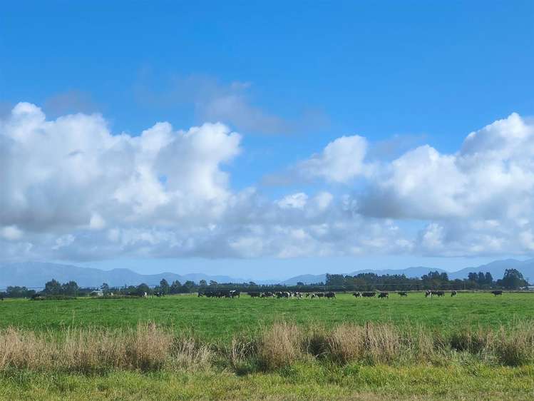 111 Tramway Road Kirwee_8