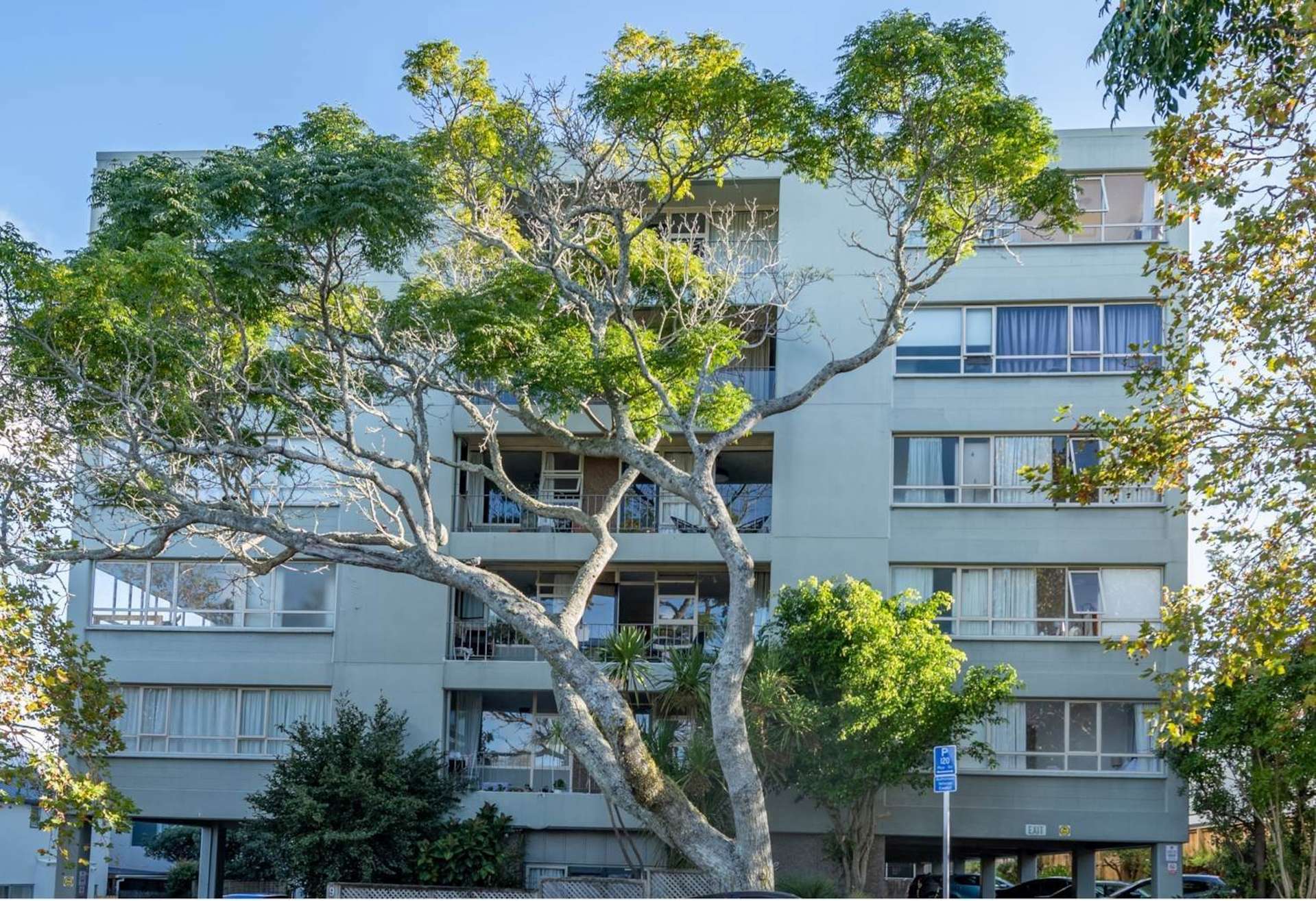 203/9 Sarawia Street Newmarket_0