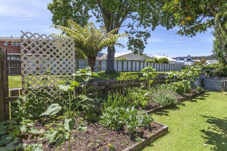 111 Isabel Street Whangamata_10