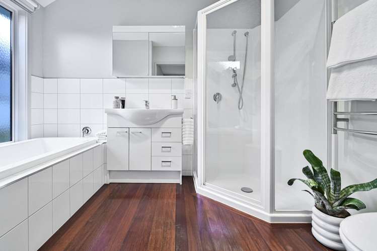 1031 Reka Street Akina_11