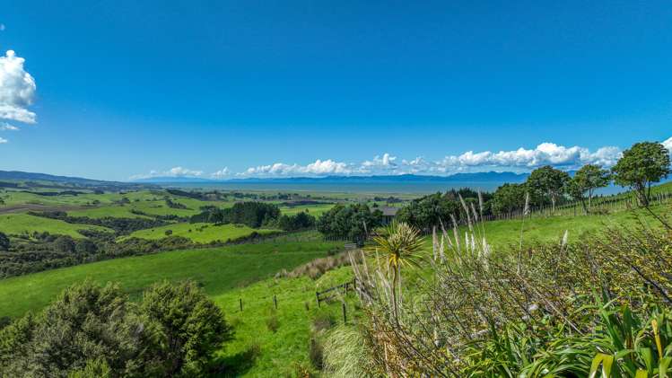 457c Findlay Road Miranda_8