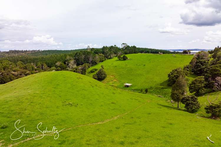 1509 Tinopai Road Tinopai_26