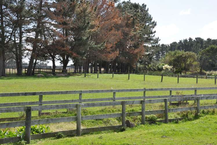 260 Waitohi Road Rongotea_6